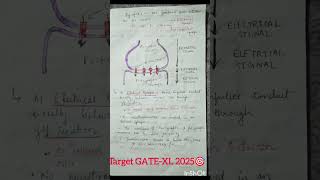 Transmission of Nerve impulses 🔥Electrical amp Chemical Synapse youtubeshortsfeed shortsbeta [upl. by Laikeze91]