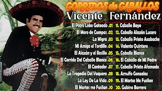 🔥🔥VICENTE FERNANDEZ CORRIDOS DE CABALLOS MIX🔥🔥PURAS PARA PISTEAR SELECCIÓNADAS VICENTE FERNÁNDEZ 🍻🍻 [upl. by Leva598]