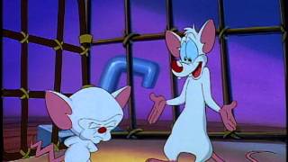 Pinky and the Brain  Obsequious [upl. by Eanat]