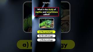 General Knowledge Quiz Part 37 gkquiz quiz trivia [upl. by Leirol]