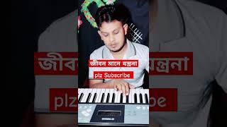 jibon Maney to Jontrona  Sad Music [upl. by Jorrie444]