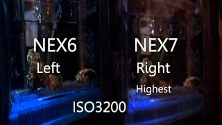 SONY NEX6 vs NEX7 Low Light HD Video SampleTagehartcom [upl. by Carma127]