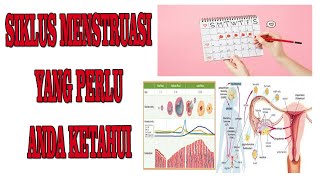 SIKLUS MENSTRUASI [upl. by Andriette]