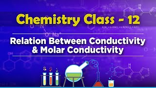 Relation Between Conductivity and Molar Conductivity  Electrochemistry  Chemistry Class 12 [upl. by Aylsworth]