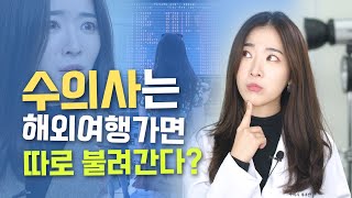 함께 여행간 수의사가 공항에서 갑자기 없어져도 당황하지 마세요 [upl. by Aklog]