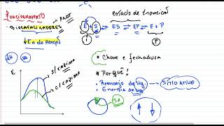 Bioquímica Enzimas Cinética enzimática e inibição enzimática [upl. by Dis]