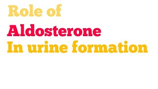 Role of Aldosterone in fluid and electrolytes balance  Addisons disease  Conns syndrome [upl. by Ario]