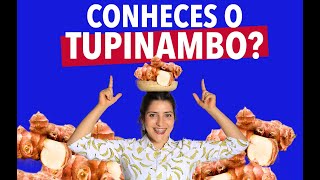 CONHECES O TUPINAMBO [upl. by Rekoob665]