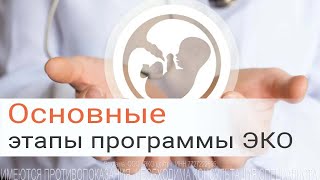 Просто о сложном этапы ЭКО [upl. by Atiuqehc]