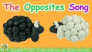 The Opposites Song  Antonyms  110 words  LEARN ENGLISH Vocabulary [upl. by Acsisnarf]