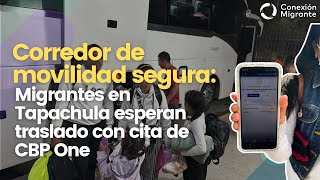 Corredor de movilidad segura Migrantes en Tapachula esperan traslado con cita de CBP One [upl. by Ecnedac]