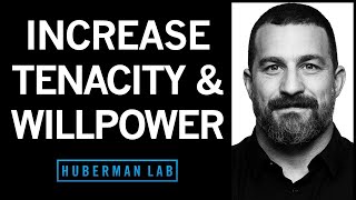 How to Increase Your Willpower amp Tenacity  Huberman Lab Podcast [upl. by Rimola]