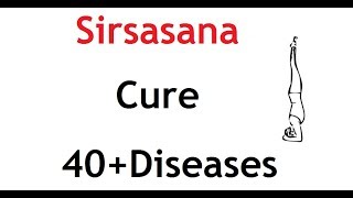 Important Yoga Pose  Sirsasana  Headstand Yoga Pose  Good for 40 Diseases [upl. by Jeanie]