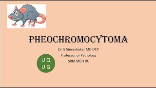 Pheochromocytoma Endocrine Pathology University questions MBBS [upl. by Inavoj]