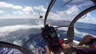 Helicopter tuna herding md500 [upl. by Venu]