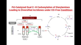 PdCatalyzed Dual C–H Carbonylation of Diarylamines [upl. by Strephon159]