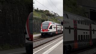 SBB CFF FFS 511 019 2024 fastspeed railway train trainspotting swissrail shorts automobile [upl. by Toy]