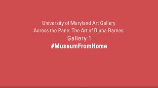 Across the Pane The Art of Djuna Barnes  Exhibition Walkthrough Gallery 1 [upl. by Albers]