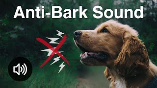 AntiBark Sound  20kHz HighFrequency Sound [upl. by Zehc]