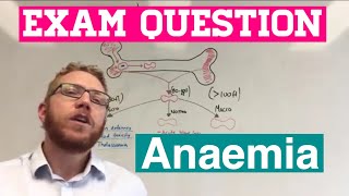 Exam Question  Anaemia [upl. by Nicholl224]