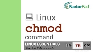 Linux chmod command summary with examples [upl. by Marba150]