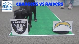 San Diego Chargers VS Oakland Raiders Puppy Prediction [upl. by Oremar]