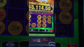 5k win All aboard piggies pennies slot machine mega jackpot hand pay at tachi palace [upl. by Ecirahs]