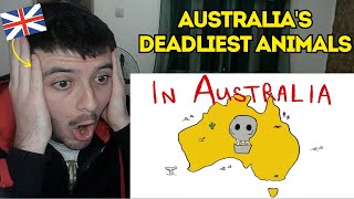 Reaction To AUSTRALIAS DEADLIEST ANIMALS SONG [upl. by Moore]