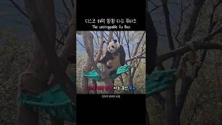 디스코 팡팡 타는 푸바오 🤣 The unstoppable Fu Bao 푸바오 판다 힐링 동물 귀여운 사랑스러운 fubao panda cute [upl. by Jessa]