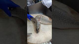 Red snapper fish cutting slice skills shorts video [upl. by Rehpotsirhc902]