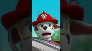 PAW Patrol  ¡Marshall se hace pequeño con el rayo encogedor de Ryder y Rocky Shorts [upl. by Nairda]