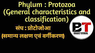 Phylum protozoa general characteristics and classification [upl. by Assirt306]