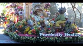 Rose Parade Minute  Fiesta Parade Floats  New Years Day Special [upl. by Eillor36]