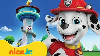 PAW Patrol Marshalls Most Daring Adventures 🚒 10 Minute Compilation  Nick Jr [upl. by Manny]