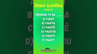 Umíte skloňovat slovo PALETA TEST 35 cestinaprocizince learnczech чешскийязык [upl. by Ricki]