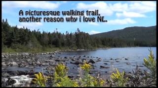 Shag Rock Whiteway NL [upl. by Airliah448]