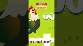 🐥 Hayvan Sesleri Şarkısı miniyoçocukşarkıları hayvansesleri [upl. by Chrisoula]