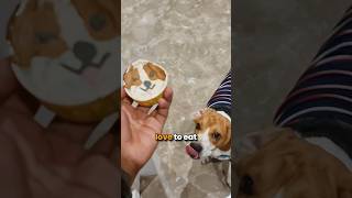 The Dark Truth about Beagles [upl. by Cormier]