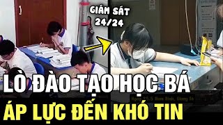 quotLò đào tạo học báquot khó tin tại Trung Quốc quay bút nửa giây cũng bị NÊU TÊN toàn trường  TÁM TV [upl. by Joub]