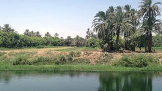 NILE DRIFT  40 Minutes of Relaxing Nile Cruise Footage with Natural River Water Sounds  No Music [upl. by Valonia]