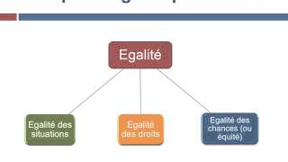 Quelles conceptions de légalité dans les sociétés démocratiques [upl. by Londoner683]