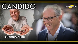 Ora è DOMENICALI che media la PACE in F1  Con Antonio Ghini [upl. by Dammahom]