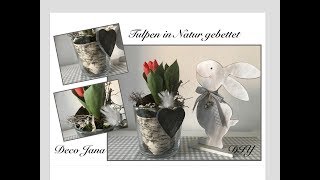 DIY frühlingshafte Tischdeko Tulpen in Natur gebettet  Deko Jana [upl. by Friedland]