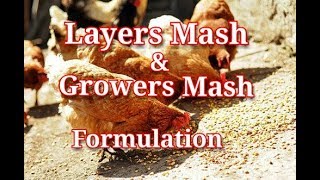 How to make Layers Mash and Growers Mash for chicken [upl. by Cilka]