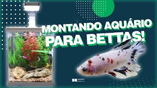 AQUARIO PARA BETTAS  Montagem completa [upl. by Obe]