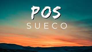 Sueco POS [upl. by Ynney]