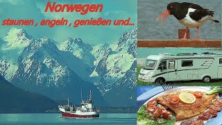 Norwegen Mit Wohnmobil amp Angel vom Polarkreis auf die Vesteralen und [upl. by Sirrom]