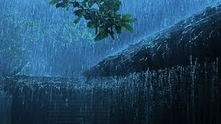 Rain and Thunder Sounds 247  Dark Screen  Thunderstorm for Sleeping  Pure Relaxing Vibes [upl. by Coniah]