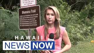 Custom signage at the base of Olomana trail appears to be saving lives [upl. by Nivloc]