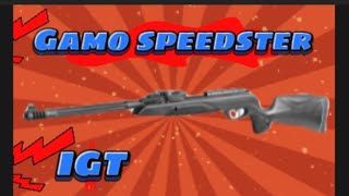 Gamo SPEEDSTER 10X IGT GEN2 [upl. by Nameerf680]